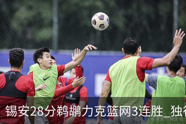 锡安28分鹈鹕力克篮网3连胜 独行侠险胜马刺